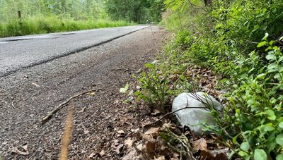 Die Distanz zur Straße lässt durchaus vermuten, dass die Beutel mit den benutzten Windeln aus dem Auto geworfen werden. 