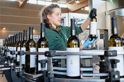 Anna Eichhorn kontrolliert an der Abfüllanlage im Staatsweingut eine Flasche. Der beste Traminer der Region kommt von hier. 