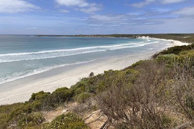 Strände wie diesen an der Vivonne Bay gibt es auf Kangaroo Island so einige.