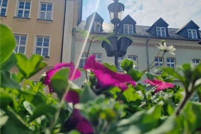 Ein echter Hingucker. Neben  großen Pflanzkübeln wurden auch Blumenampeln an den Laternen angebracht. 