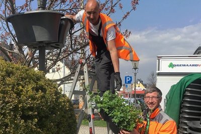 Gesponsert wurden die Pflanzbehälter und Blumen von der Firma Flower and Shower. Bei der Montage an den Laternen half Stadtgärtner Ronny Meyer (r.) mit. 