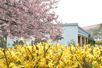 Der Garten der Kita „Hornmühlenweg“ in Freiberg blüht.