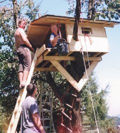 Vater Hendrik (auf der Leiter) und Sohn Bruno beim gemeinsamen Arbeiten am Häuschen. Es "wuchs" 2002 auf einem alten Baum, der geeignete Äste hatte, und wurde vor allem innen im Lauf der Jahre immer weiter verbessert.