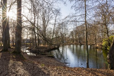 Die Teiche im Stadtpark sind für Spaziergänge sehr beliebt.