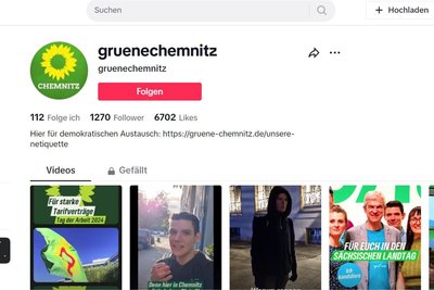 Die Grünen sind die einzige Partei im Stadtrat, deren Kreisverband einen Tiktok-Account unterhält.