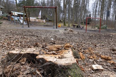 Das Naherholungsgebiet am Pöhlberg hinterlässt aktuell einen trostlosen Eindruck. Die Baumfällungen haben jedoch Gründe, die auch für Freude sorgen werden.