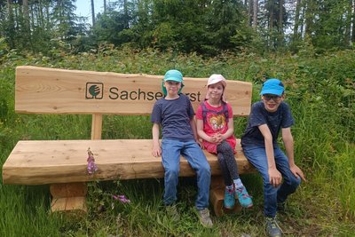 Franz, Elsa und Felix Müller (v. l.) sind mit ihren Eltern oft im Abtwald unterwegs. Da kommt eine Bank für eine Rast gelegen.