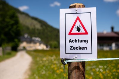 Es ist wieder Zeckenzeit.