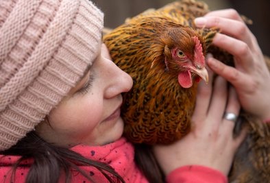 Kuscheln mit Ingeborg, einem Orpington-Huhn. Mit der Kamera weiß Nadine Petukat, Federkleid und Charaktere eines jeden Tieres in Szene zu setzen.