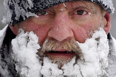 Bartträger im Winter.