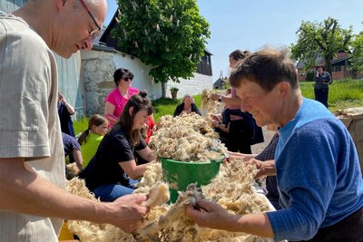 Blick in den Frühsommer mit vielen freiwilligen Helfern. In der Stangengrüner Schäferei wurde ein Tonne feinste, in Deutschland nicht mehr absetzbare Merinowolle vorgesäubert. Im Anschluss ging's zum Waschen ins Ötztal - da es in Deutschland keine Wollwäsche mehr gibt. In der Lengenfelder Tuchfabrik wurden jüngst 170 Kilogramm davon zu Garn verarbeitet - das jetzt Kunden in ganz Deutschland ordern.