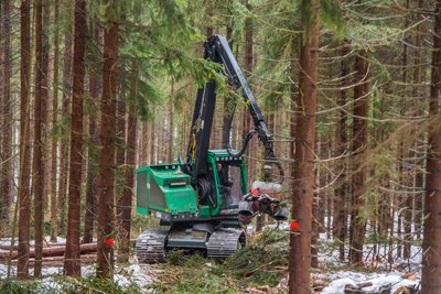 Wer Harvester steuern will, muss eine umfangreiche Ausbildung durchlaufen.