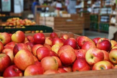 Im Hofladen der OGS Obstgut Genossenschaft Seelitz werden die Äpfel vom Obstgut angeboten.