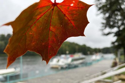 Noch sind es wenige bunte Blätter, die den Herbst an der Talsperre Kriebstein einläuten.