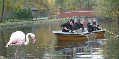 Reinigung des Tierparkteiches