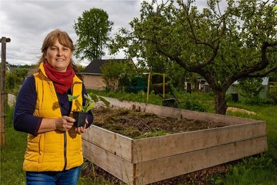 Aus Gartenabfällen der Kleingartensparte entsteht ein riesiges Hochbeet. Katrin Reuter wird anfangs Starkzehrer wie Zucchini darauf pflanzen.