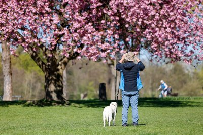 Am Samstag findet das „Bark Date“ zum vierten Mal auf der Wiese im Küchwaldpark statt.
