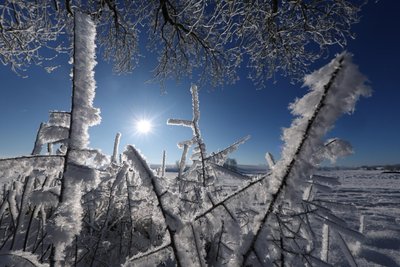 Was hat der Winter 2025/26 für uns in petto?