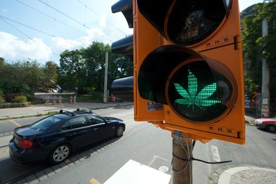 Der negative Scherenschnitt eines Cannabis-Blattes wurde auf das Grün einer Behelfsampel in Leipzig geklebt.