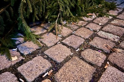 Ein großes Problem für die Aufräumer sind die Zigarettenkippen, die sich in die Fugen des Altstadtpflasters legen.