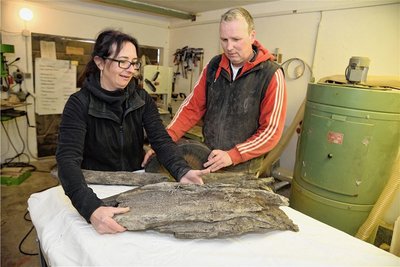 Holzdesignerin Steffi Bauer und ihr Mitarbeiter Arne Hirschligau mit dem 20.000 bis 30.000 Jahre altem Holz, das laut Experten noch aus der letzten Eiszeit stammt.