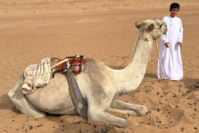 Enkel Hamed in der Wüste.