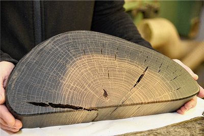 Ein Teilstück des Eiszeit-Holzes, das die Holzdesignerin schon teilweise abgeschliffen und bearbeitet hat.