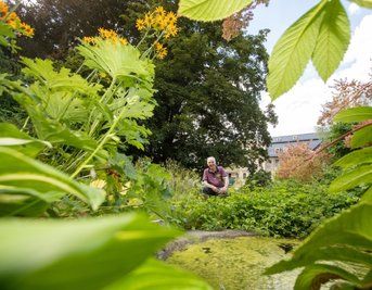 Bernhard Weisbach in seinem parkähnlichen Garten an der Bleichstraße. Der studierte Landschaftsarchitekt pflegt das Areal, das einen halben Hektar groß ist.