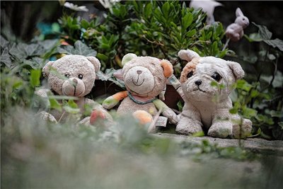 Kleine Plüschfreunde auf dem Babygrab von Emely auf dem Friedhof in Dresden-Neustadt. Mitarbeiter des Bestattungsunternehmens haben sie nach dem Begräbnis im März dorthin gesetzt. Der Bär in der Mitte ist neu. Keiner weiß, wer ihn Emely brachte. 