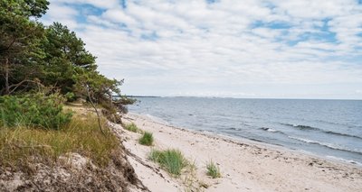 Dieses Foto könnte Reiselust wecken. Solche verträumten Abschnitte kommen zuhauf in "Skånes Küsten" vor. 