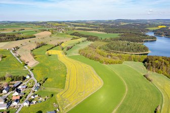 80 Fußballfelder groß: Bekommt das Erzgebirge das nächste Mega-Solarkraftwerk? - Linksseitig der Saidenbach-Talsperre in Reifland ist auf knapp 13 Hektar ein Teil des großen Solarparks geplant.