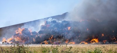 Insgesamt 86.000 Kilo Stroh sind in Flammen aufgegangen. Eigentlich war es als Einstreu für die Milchkühe gedacht, die im Stall stehen.