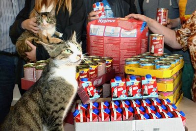 Ab Mai sollen sich Bedürftige in Plauen an der neuen Tiertafel mit Tierfutter versorgen können. 