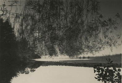 Seine Fotografien stellen Sehgewohnheiten infrage: Dieses Bild ohne Titel von Carlfriedrich Claus aus dem Jahr 1955 stammt aus der Werkgruppe "Elementare Experimente mit Photo-Natur". 