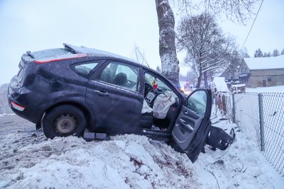 Sie pralle gegen einen Baum. 