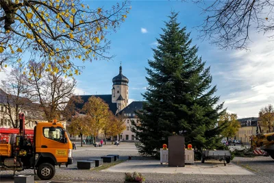 Der Baum steht. In der kommenden Woche werden die Lichterketten angebracht.