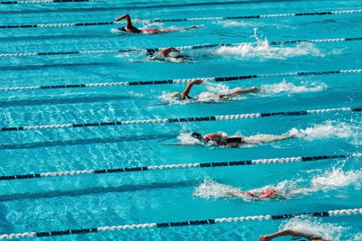 Das Herbstschwimmfest des SV Zwickau 04 erlebt am Samstag seine 34. Auflage.