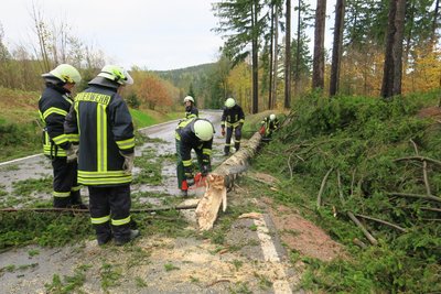 Umgestürzte Bäume auf der Fahrbahn in Eibenstock