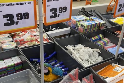 Pinsel, Klobürsten - oder ein Papagei für 3,99? Im Obi Reichenbach sorgte ein Ara für Aufsehen.