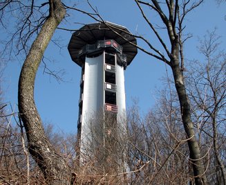 Bärensteinturm in Plauen
