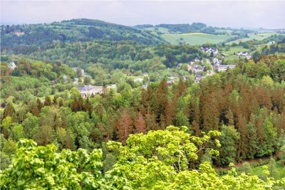 Die alte Schutzhütte am Schokoladenfelsen hoch oben über der Zschopau war abgebrannt. 