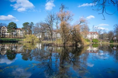 Straßenzüge rund um den Schwanenteich-Park in Mittweida galten als gefährlicher Ort.