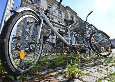 Ärgernis vorm Haupteingang: Allem Anschein nach herrenlose Räder, die Abstellanlagen blockieren.