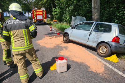 Am Sonntagmittag gegen 11 Uhr war ein Renault Clio-Fahrer von der Fahrbahn abgekommen und gegen einen Baum gefahren.