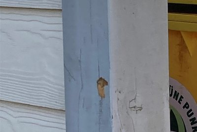 In diesem Holzbalken eines Mülltonnenunterstandes landete nach einem Schuss offenbar eine Patrone aus der Waffe des Täters.