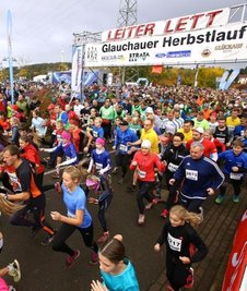 Insgesamt waren 2481 Läufer, Walker und Wanderer zum 31. Herbstlauf vergangenen Jahres nach Glauchau gekommen.