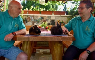 Peter Aurich (links) vom Rassekaninchenzuchtverein S 416 Pleißa mit einem Loh-Kaninchen und Vereinschef Andreas Philipp mit einem Kleinsilber. Mitte Juli soll in Pleißa eine Tierschau stattfinden. 