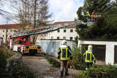 Auf der Querstraße fiel ein Baum auf Garagen. 