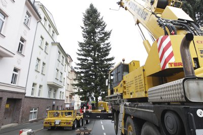 Große Fahrzeuge und schwere Technik waren nötig, um den Baum unbeschadet vom Garten auf den Transporter zu hieven und abzutransportieren. Die Chamissostraße war drei Stunden gesperrt.