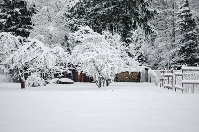 Weiße Weihnachten in Sachsen - nicht ganz auszuschließen.